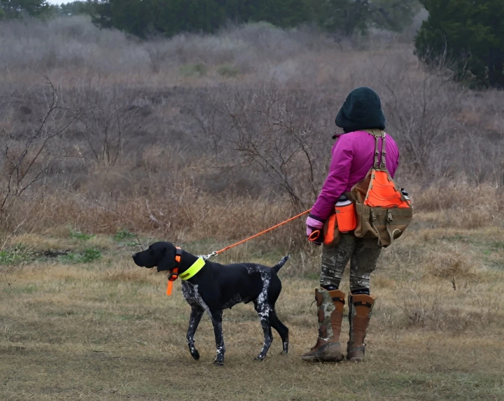 Alvarado Farm Kennels